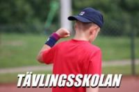 Tävlingsgrupp